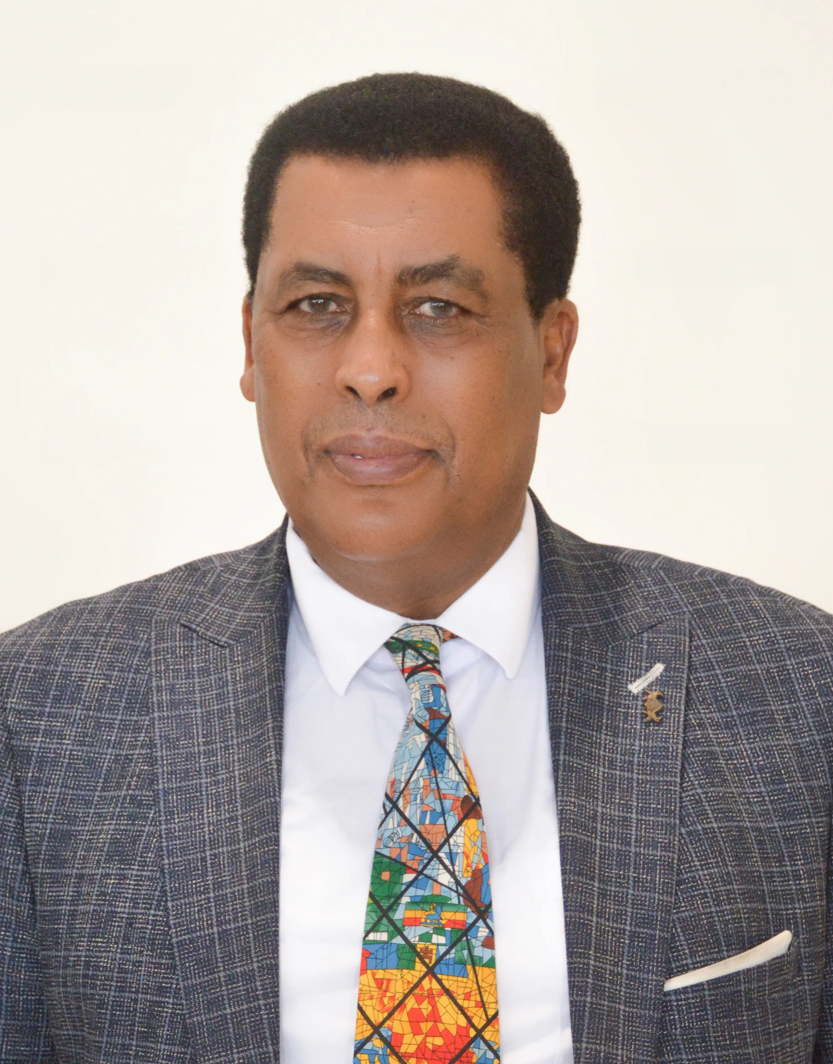 Ambassador Dina Mufti Ledi