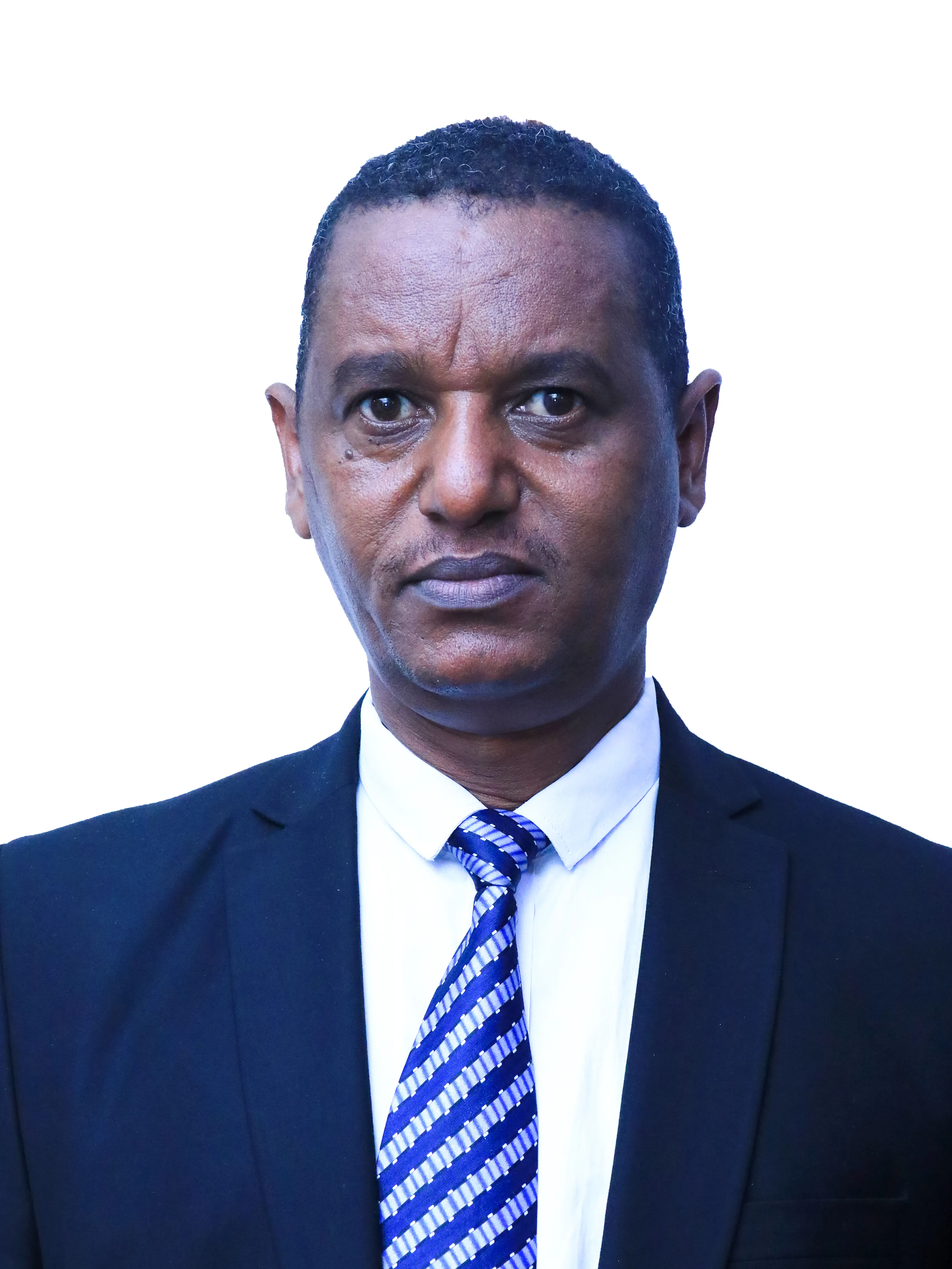 Muluken Adimasu Emiru