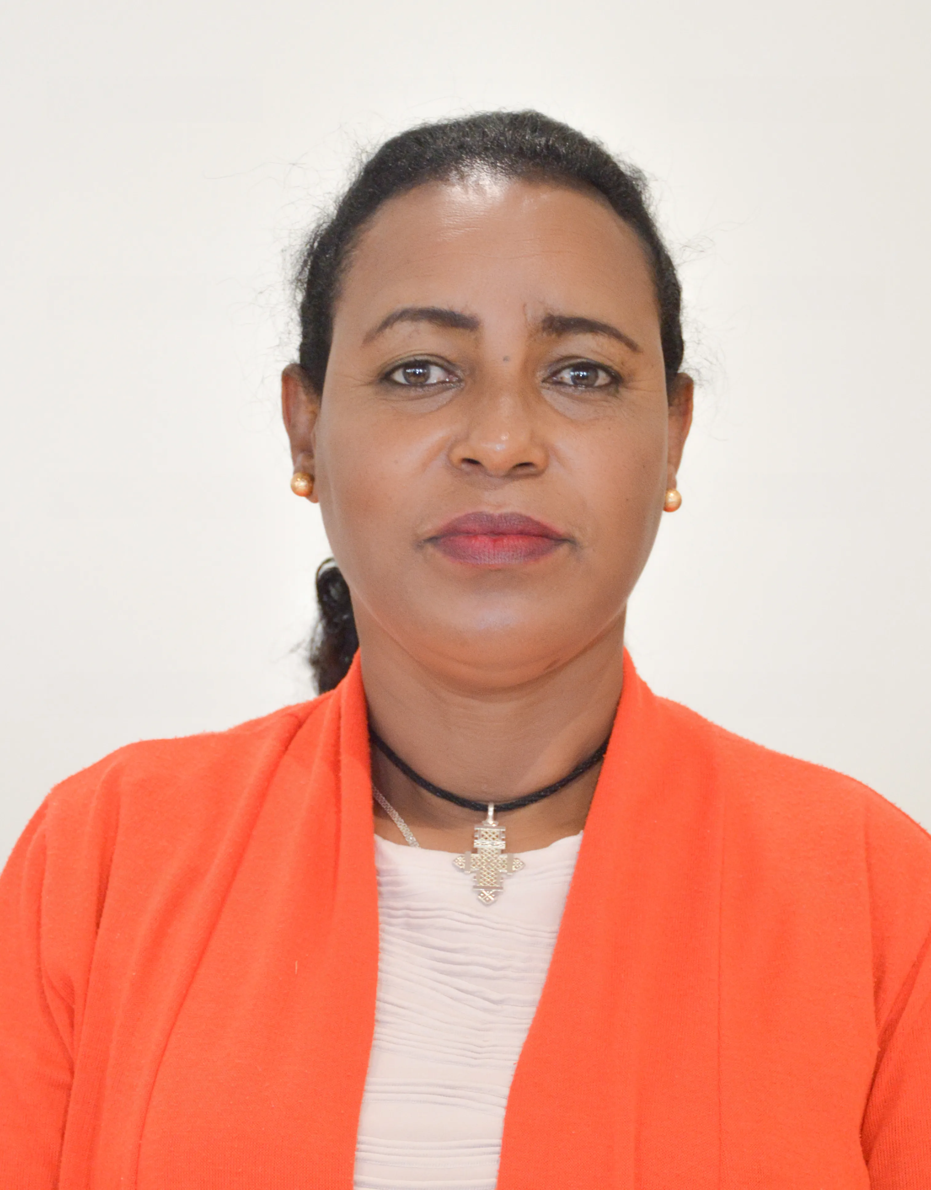 Amsal Mengistu Alemu