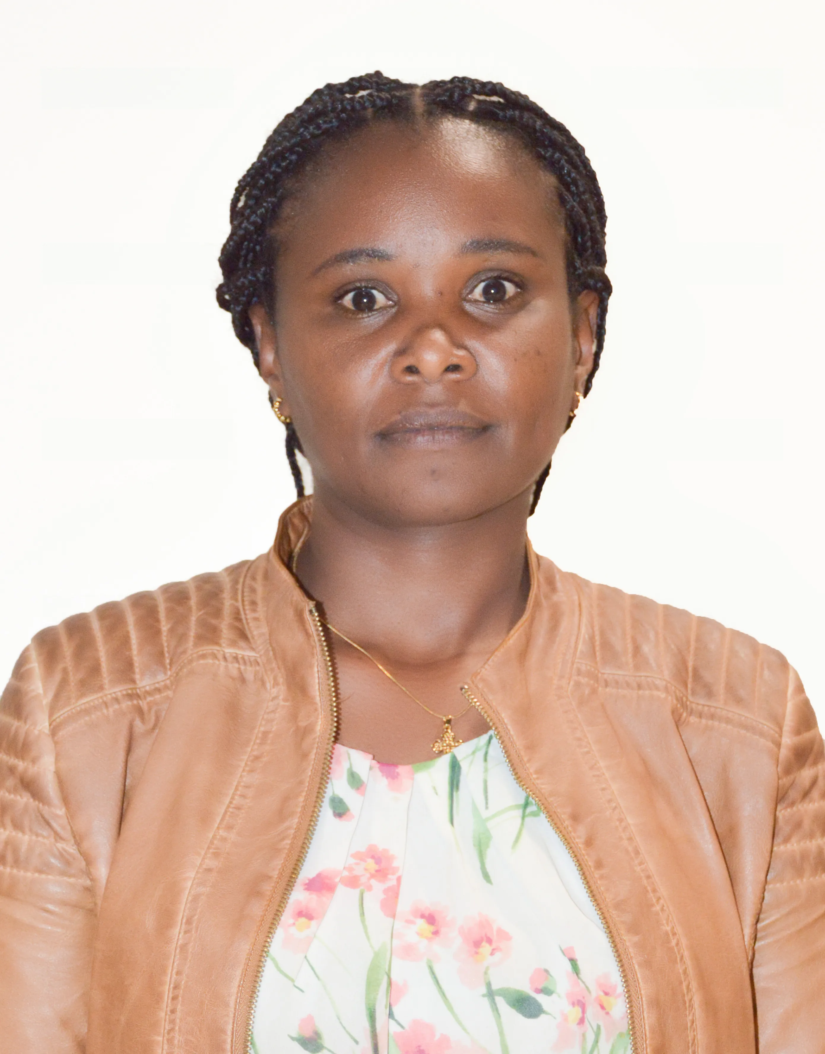 Baayyush Birhaanuu Karoorsaa