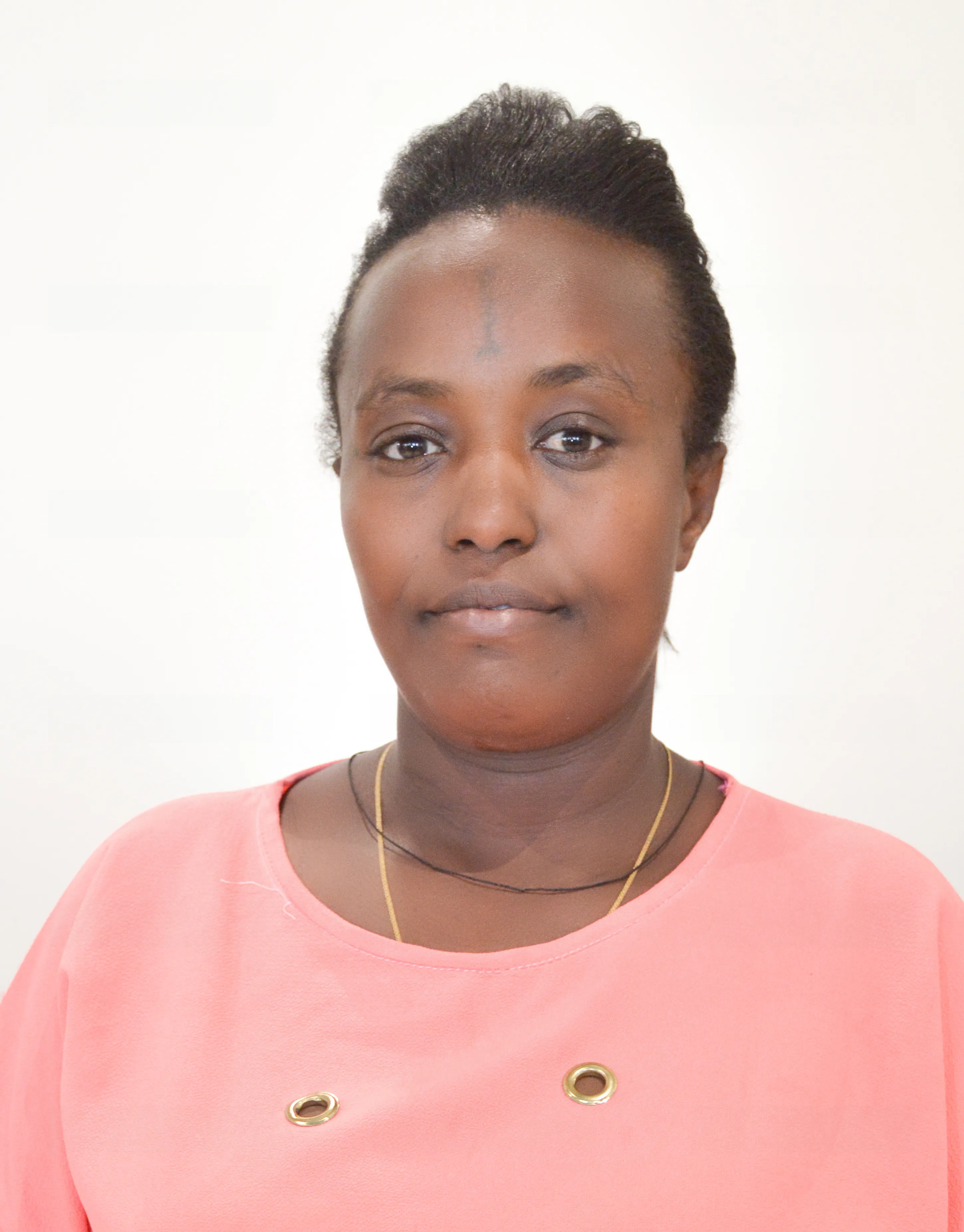 Debritu Tadesse Mengesha