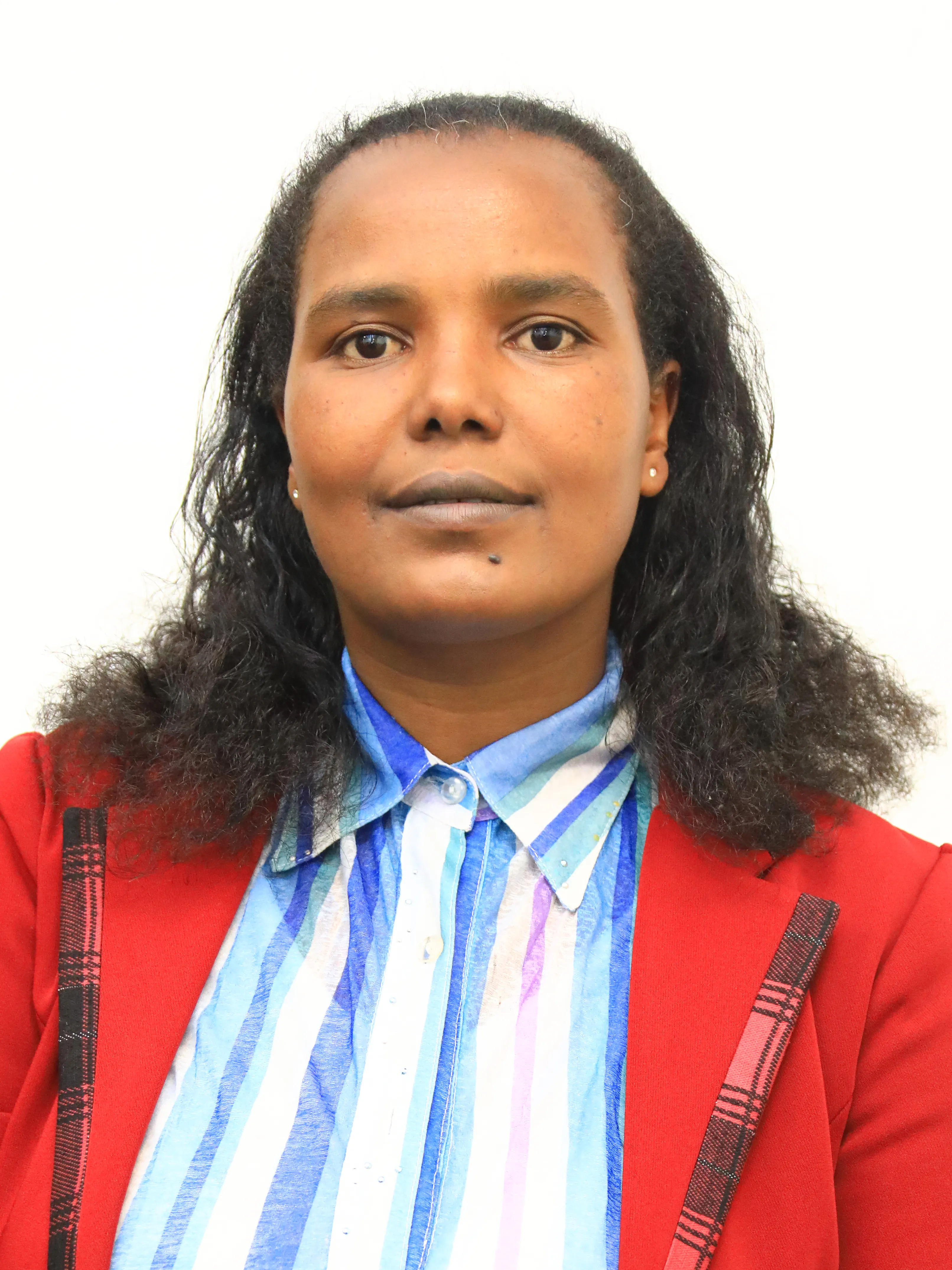 Galaanee Biqilaa Woyeechaa