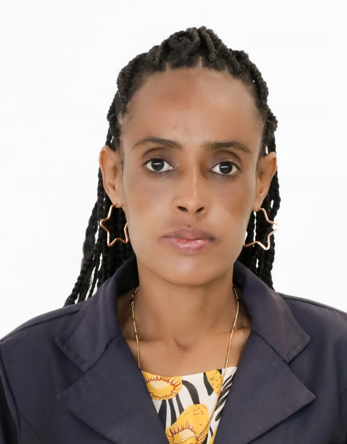 Workenesh Mohammed Hebso