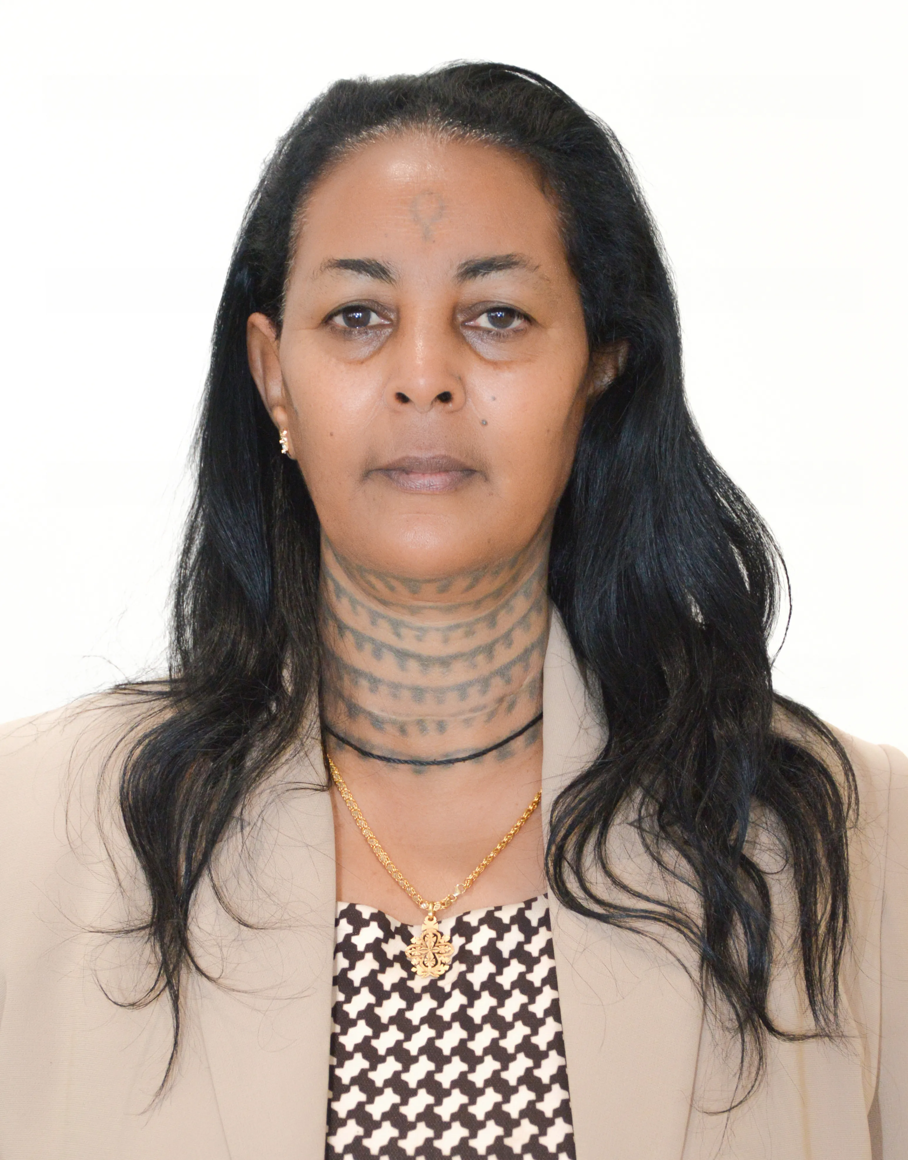 Workesemu Mamo Mekonin